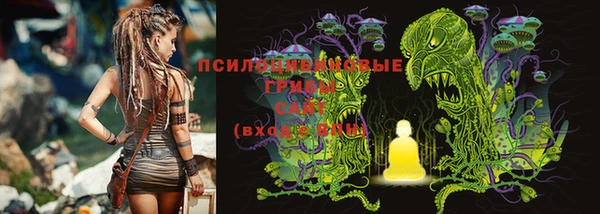 бошки Алзамай