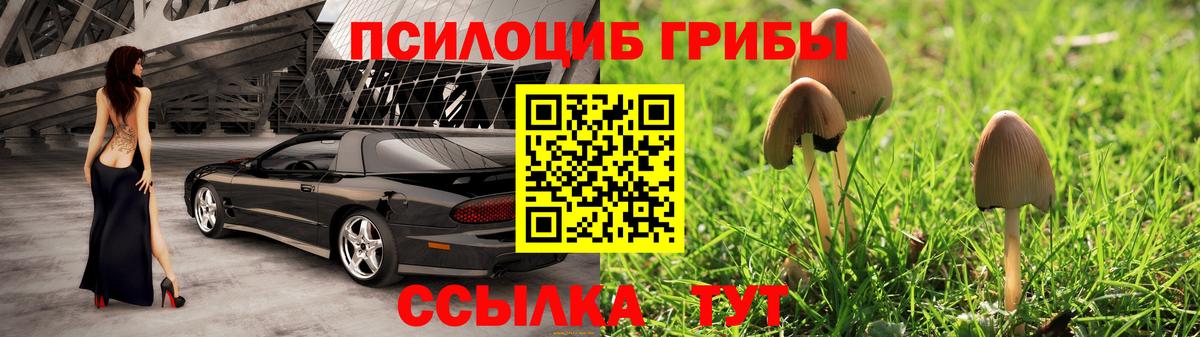 Галлюциногенные грибы мухоморы  Вход с VPN  Зеленокумск 