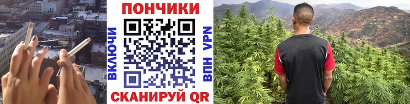 OMG маркетплейс  Зеленокумск  Канабис SATIVA & INDICA  как найти  